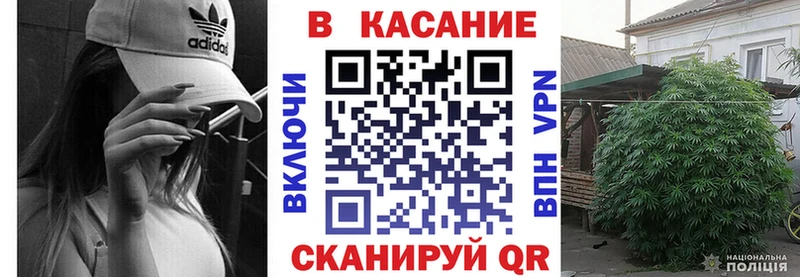 Где купить наркотики Волгодонск Кокаин  Героин  Бошки Шишки  ГАШ  А ПВП  Амфетамин 