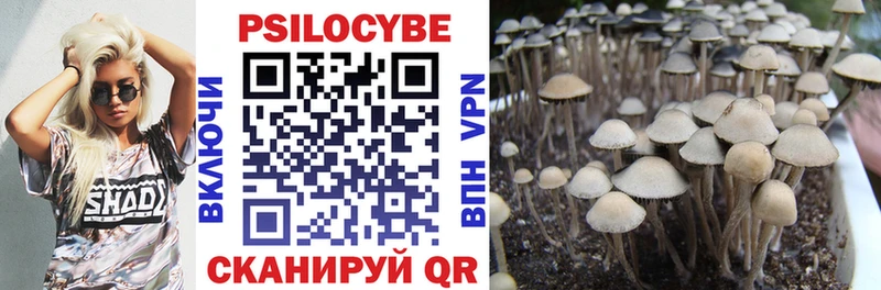 Псилоцибиновые грибы Magic Shrooms  где продают наркотики  Волгодонск 